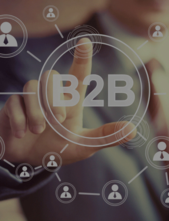 B2B Bayilik KATEGORİSİ